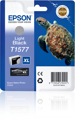 Epson Stylus Photo R3000 Cartucho Gris