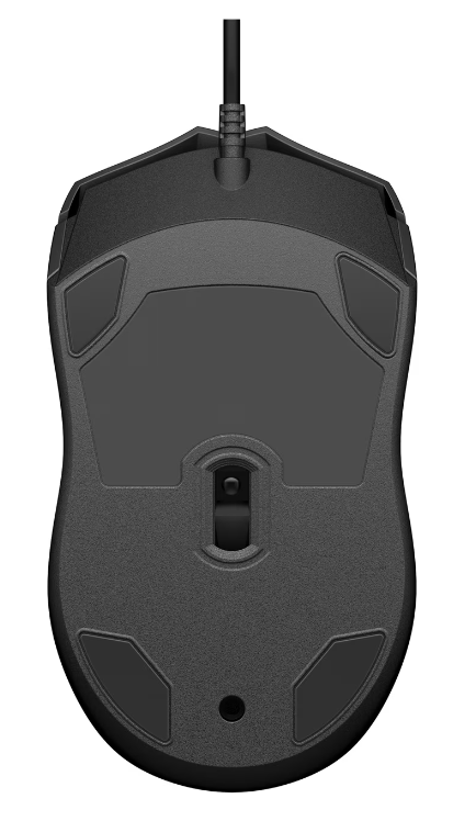 HP Raton 100