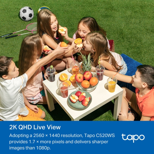 TP-LINK TAPO C520WS Camara de Vigilancia Wi-Fi para Exteriores con Vision Nocturna a Color y Deteccion IA Avanzada