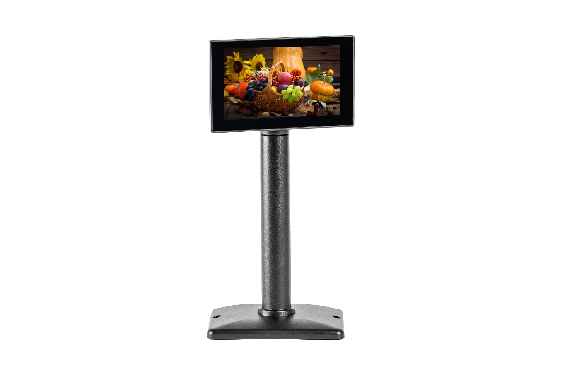 TECHFIVE Pantalla cliente 5", 20 columnas*2 lineas