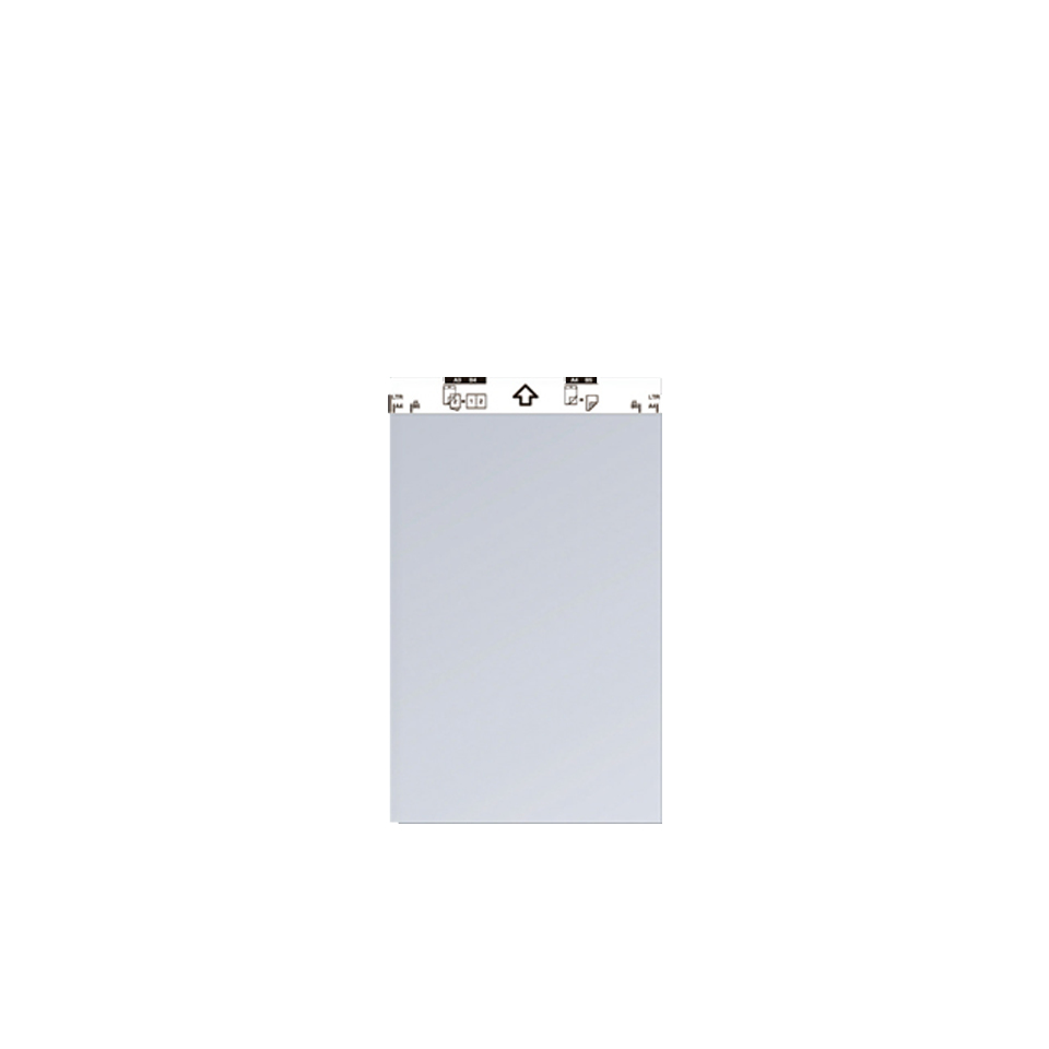 BROTHER Pack de 2 hojas portadoras A4 (A3)