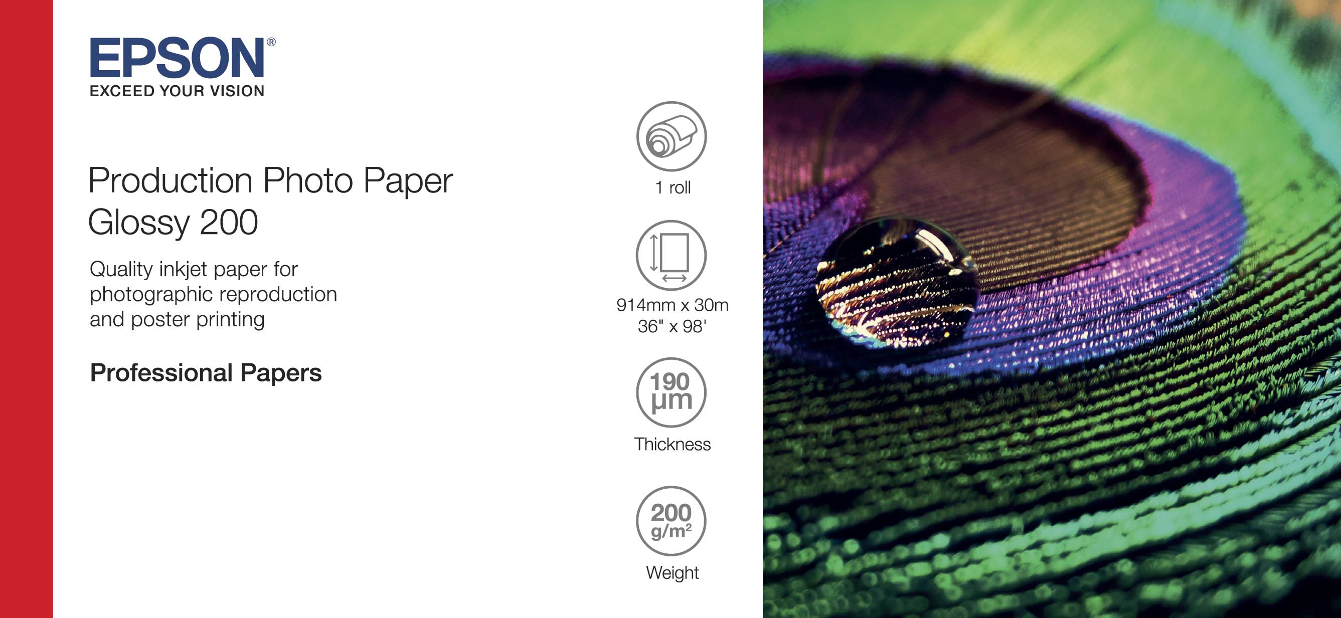 EPSON Production Photo Paper Glossy 200 36 x 30m
