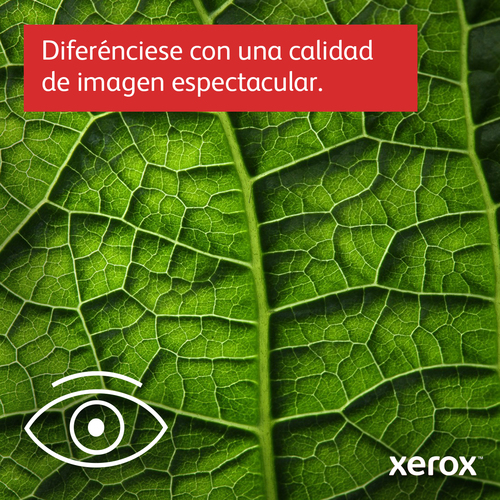 XEROX Impresora Laser Monocromo B310V_DNI/B310V_DNI