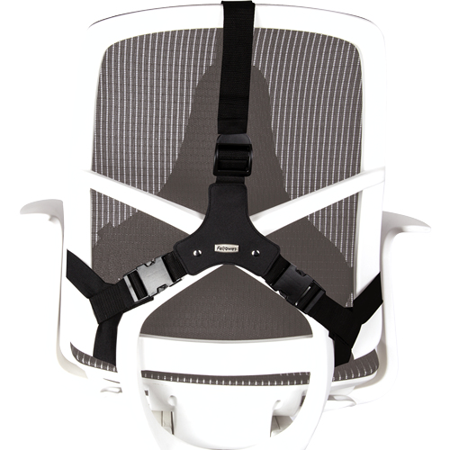 FELLOWES Cojin lumbar ergonomico Professional Series