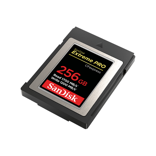 SANDISK Tarjeta de memoria 256G CFexpress