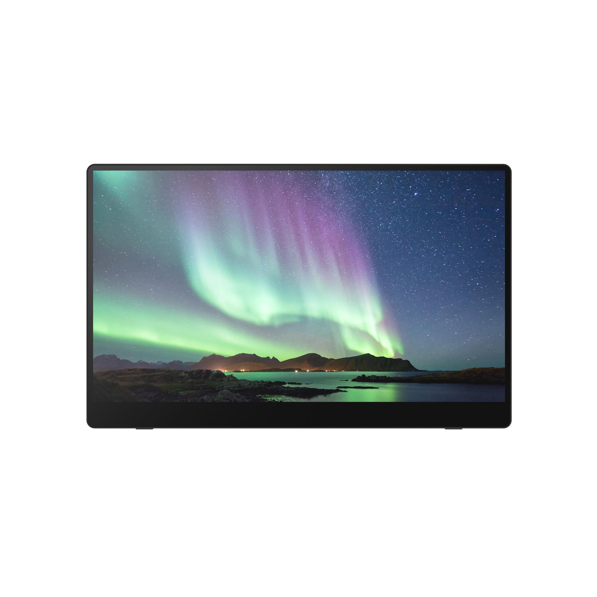 RICOH Monitor portatil 150BW 15,6"
