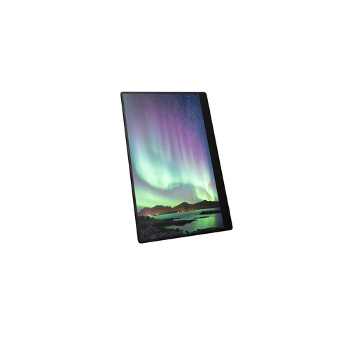 RICOH Monitor portatil 150BW 15,6"