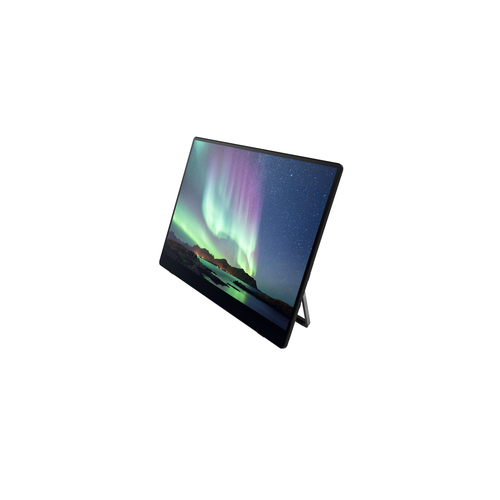 RICOH Monitor portatil 150BW 15,6"