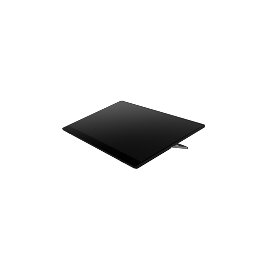 RICOH Monitor portatil 150BW 15,6"