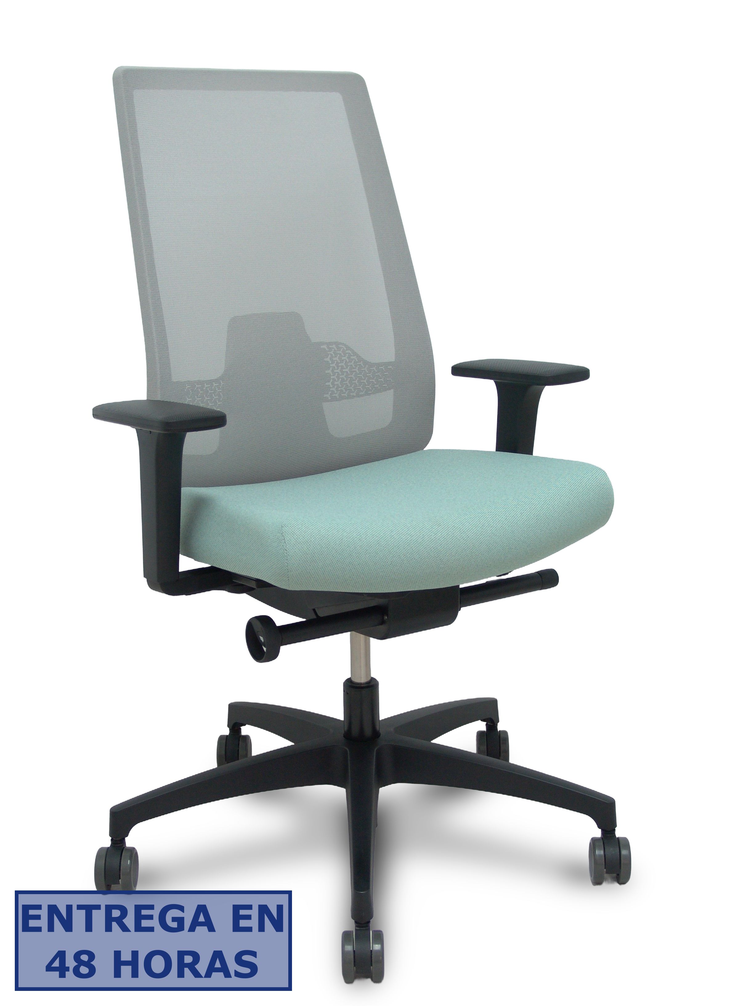 PIQUERAS Y CRESPO DAUPHIN Silla Indeed traslack resp. malla gris asiento tonal verde claro brazos 2D base poliamida