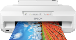 EPSON Impresora inkjet Expression Photo XP-65